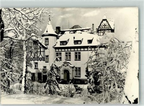 Eibenstock Wolfsgrüner Schlösschen Reichsbürger Königreich Deutschland