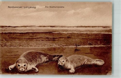 Langeoog Die Seehundplatte Verlag Oskar Meyer