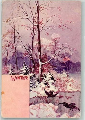 Winter Raben