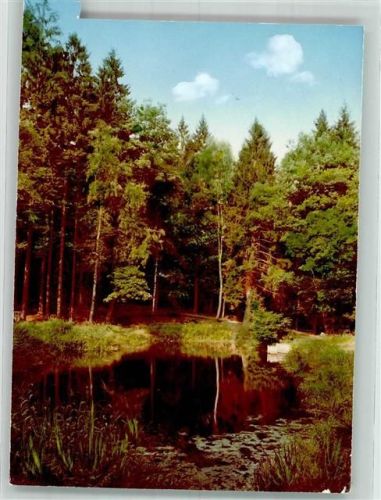 Wrexen Weiher im Wald Foto Original aus Archiv eines Ansichtskartenverlags Ort handschriftlich