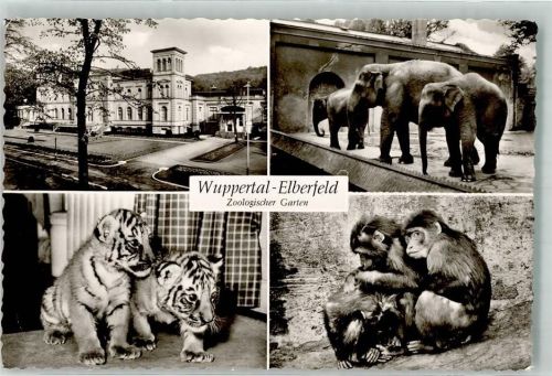 Elberfeld Elefanten Tiger Schimpansen