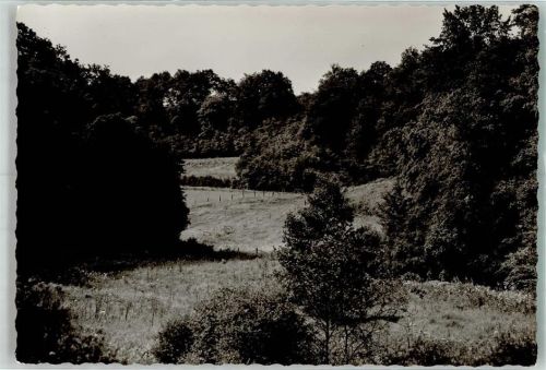 Rott am Fischweiher Foto Original aus Archiv eines Ansichtskartenverlags Ort handschriftlich
