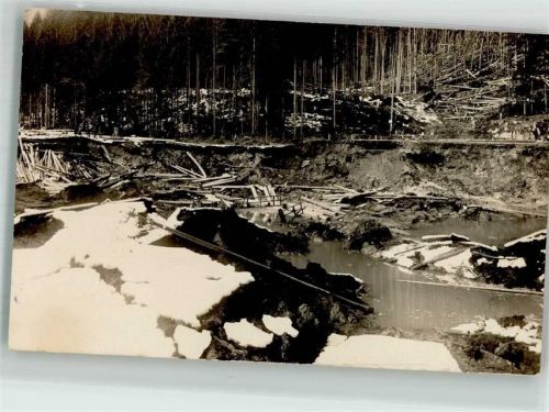 Zerstörung v. Brücke Bäume