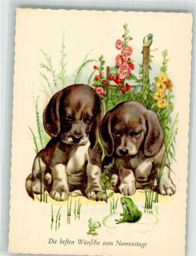 Verlag Amag 2035 Hundewelpen neugierig Namenstag