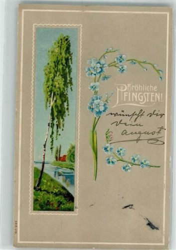 1908 Birke in Frühlingslandschaft Vergissmeinnicht