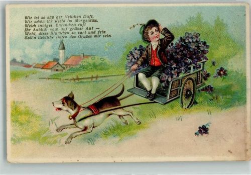 1917 Kind Veilchen G.G.K. No. 623