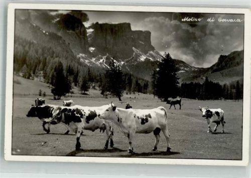 Berge Foto AK