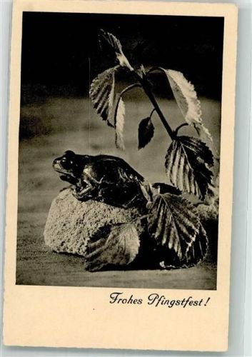 Pfingsten Frosch