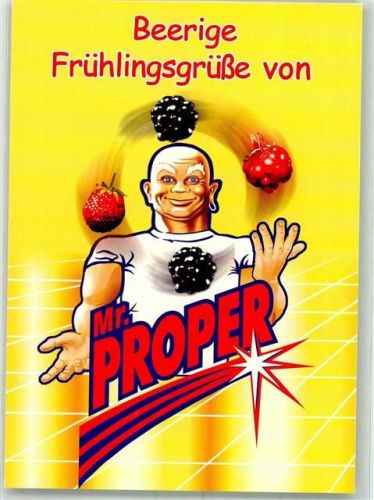 Mr. Propper Waldbeerenfrische