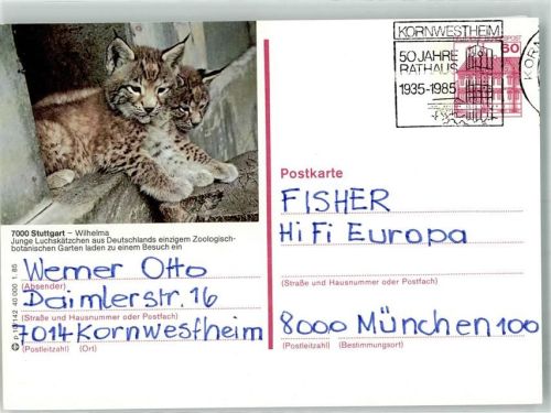 Stuttgart 1985 Junge Luchse Zoo Wilhelma
