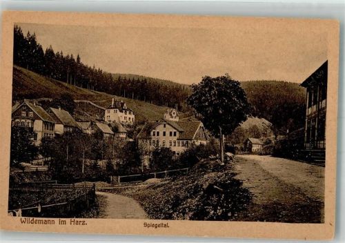 Wildemann 1922 Spiegeltal
