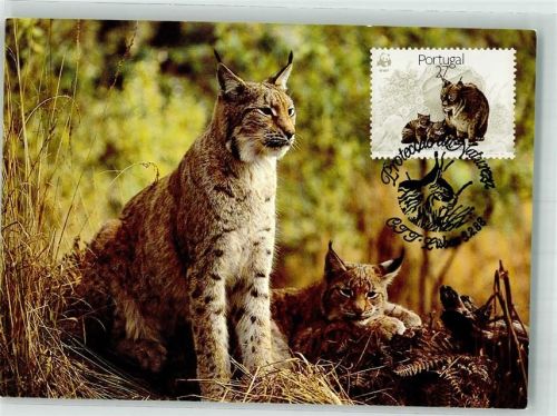 Der Luchs WWF World Fund for Nature