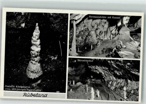 Rübeland Hermannshöhle Stalaktit Königskerze Bärenfriedhof