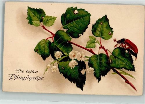 Maikäfer Maiglöckchen Birke
