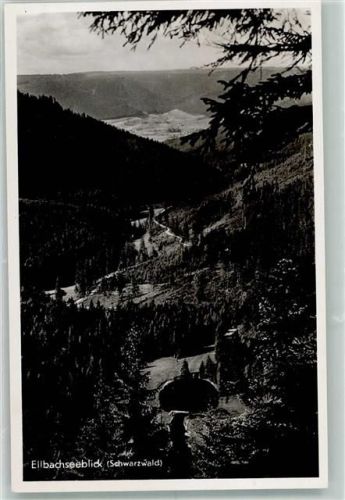 Kniebis Ellbachseeblick