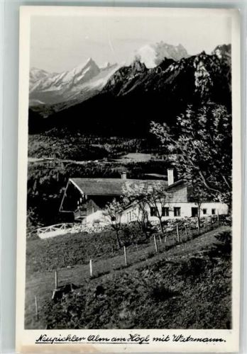 Piding Neubichler Alm mit Högl und Watzmann Foto KEINE AK