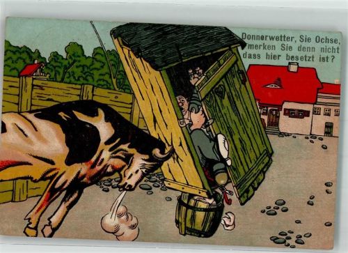 1912 Wilder Ochse rammt besetztes Toilettenhäuschen