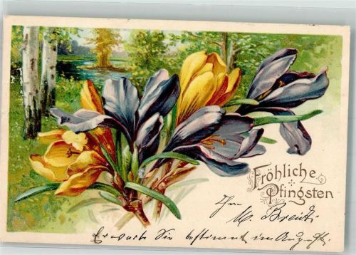 1904 Blumen