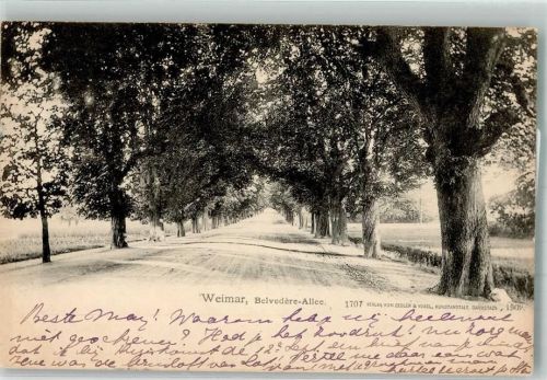Weimar 1903 Belvedere-Allee Verlag Zedler & Vogel 1707