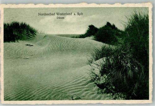 Westerland Dünen