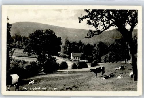 Waltersdorf Ortsansicht
