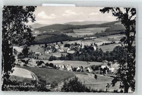 57399 W5942 Albaum - Marke entfernt