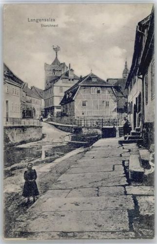 Bad Langensalza Storchnest