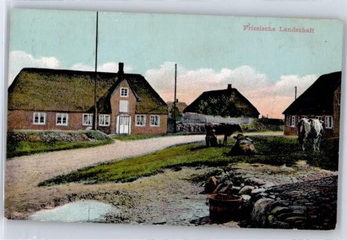 Friesische Landschaft