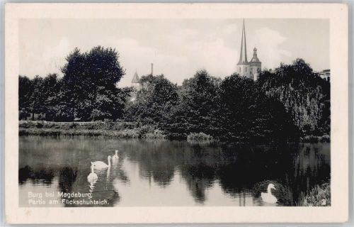 Magdeburg Flickschuhteich , Burg