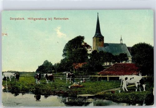 Rotterdam Kirche, Kuhherde, Hilligersberg