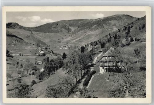 Neuenweg Wandererheim Belchenblick