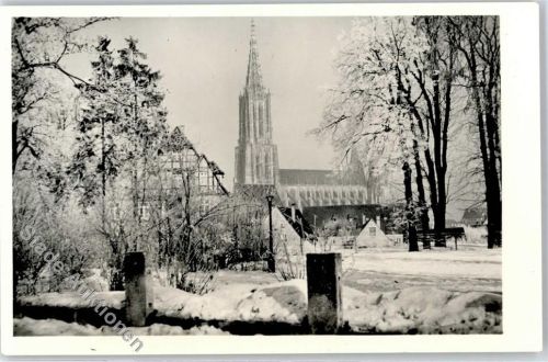 Ulm im Winter