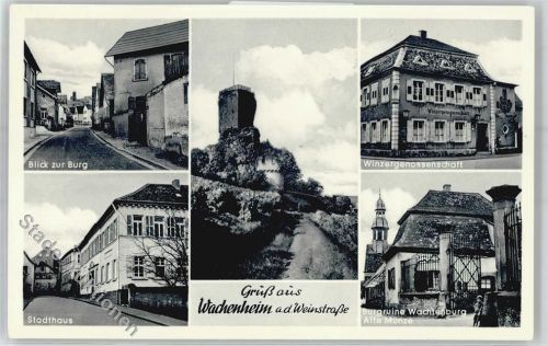 Wachenheim Winzergenossenschaft Stadthaus