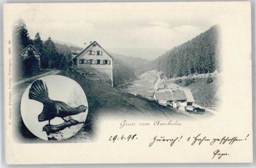 Auerhahn