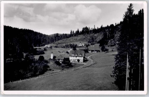 Erbersbronn Gasthaus zum grünen Wald