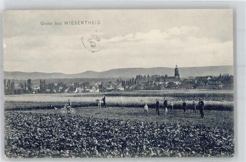 Wiesentheid Felder