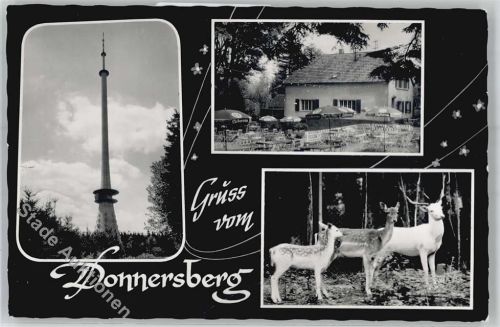 Waldhaus Donnersberg Fernsehturm Gasthaus Wildgehege donnersberg