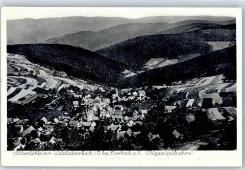 Waldkatzenbach Fliegeraufnahme