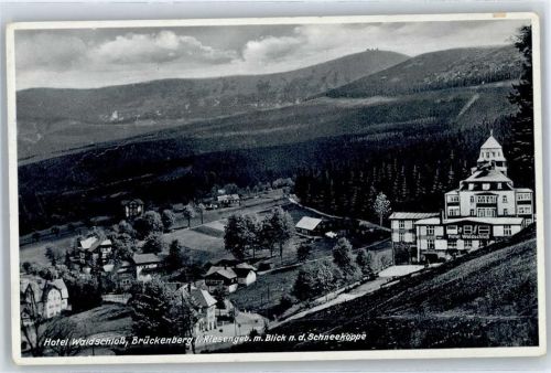 Brückenberg Hotel Waldschloß
