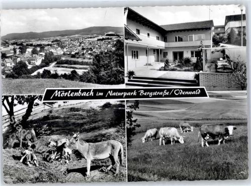 Mörlenbach Pension Breier