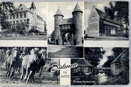 48249 W4408 Dülmen - Gymnasium Wildpferde Mühle Rathaus Lüdinghauser Turm