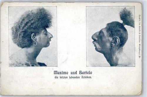 Maximo Bartolo