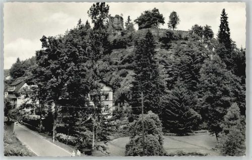 Frankenstein Burg Diemerstein