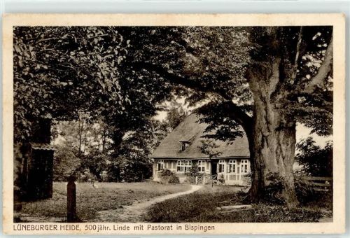 29646 W3045 Bispingen - 500jährige Eiche Pastorat