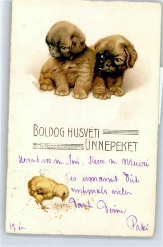 Welpe Küken Ostern
