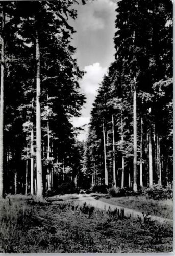 Mainhardt Mönchswald