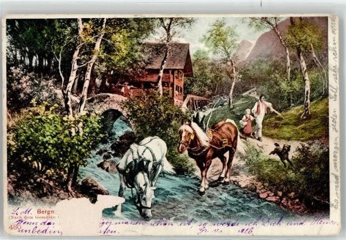 1904 Haflinger Hund