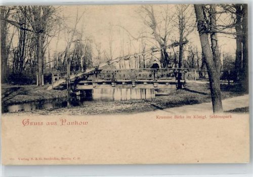 10115 O1100 Pankow - Krumme Birke im Königl. Schlosspark