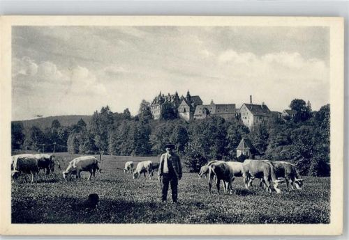 Lauterbach Schloss Eisenbach Kuhherde