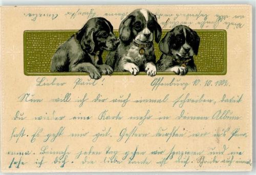 1902 Hund
